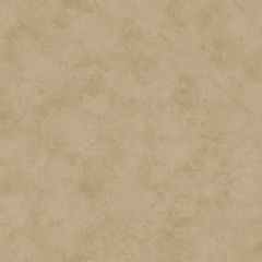 Линолеум коммерческий Profi Premium Taal 2, 2,5х22м (рулон)