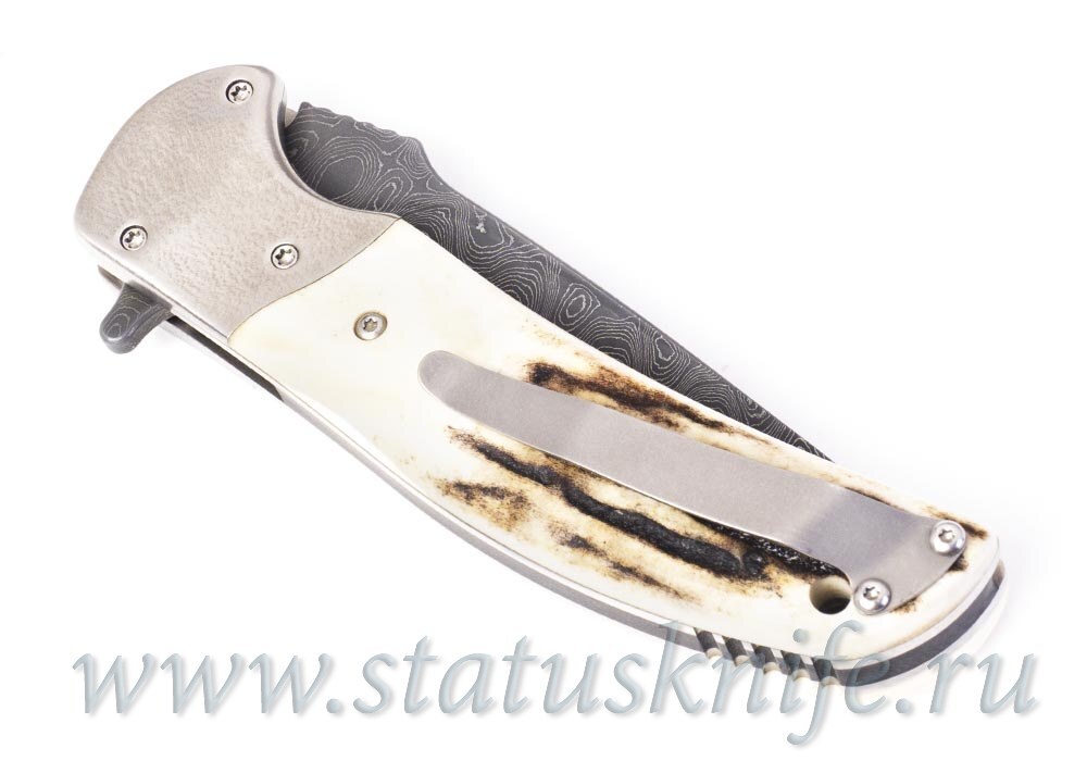 Нож RJ Martin Q36  Damascus Mammoth