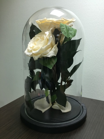 Вечная роза в стеклянной колбе куст кремовая. Букет.