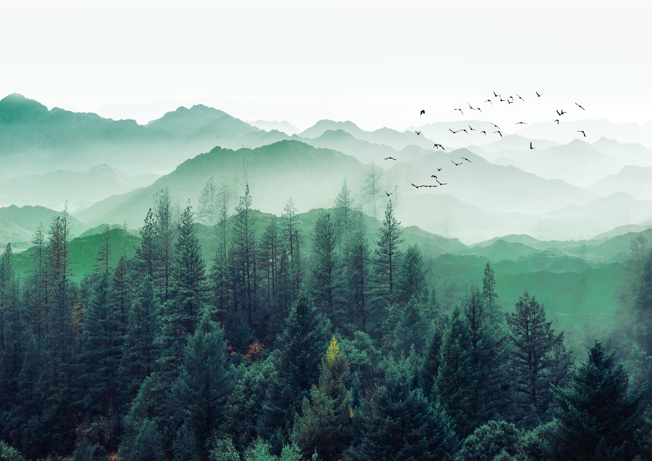 полет в горах. вид из самолета на землю. вид с горы мамай. вид на горы сочи из самолета. эверест джомолунгма с самолета.