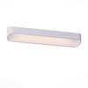 Светильник настенный ST Luce Mensola SL582.101.01