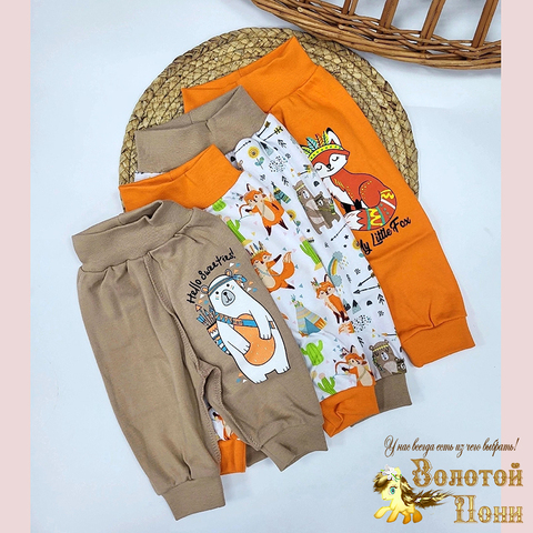 Штанишки хлопок (56-80) 241126-FG3037