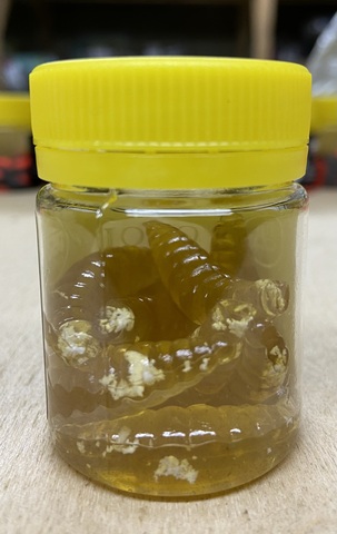 Форелевая силиконовая приманка COOL PLACE MAGGOT 1.6  цвет ПИВО (БЕЛАЯ КРОШКА) СЫР