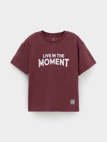 фуфайка  для мальчика  КР 302913/коричневый 1614 к632