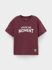 фуфайка  для мальчика  КР 302913/коричневый 1614 к632