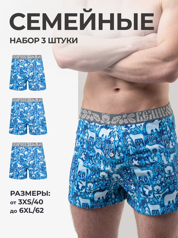 Комплект из 3-х семейных трусов - «Приморский лес»