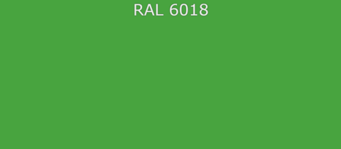 RAL6018