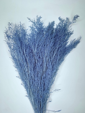 Кермек выбеленный Морозный Синий