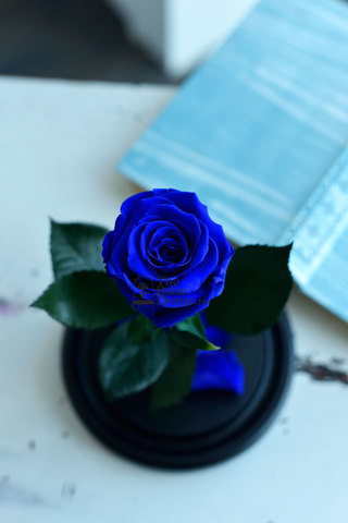 Роза в колбе мини темно-синяя