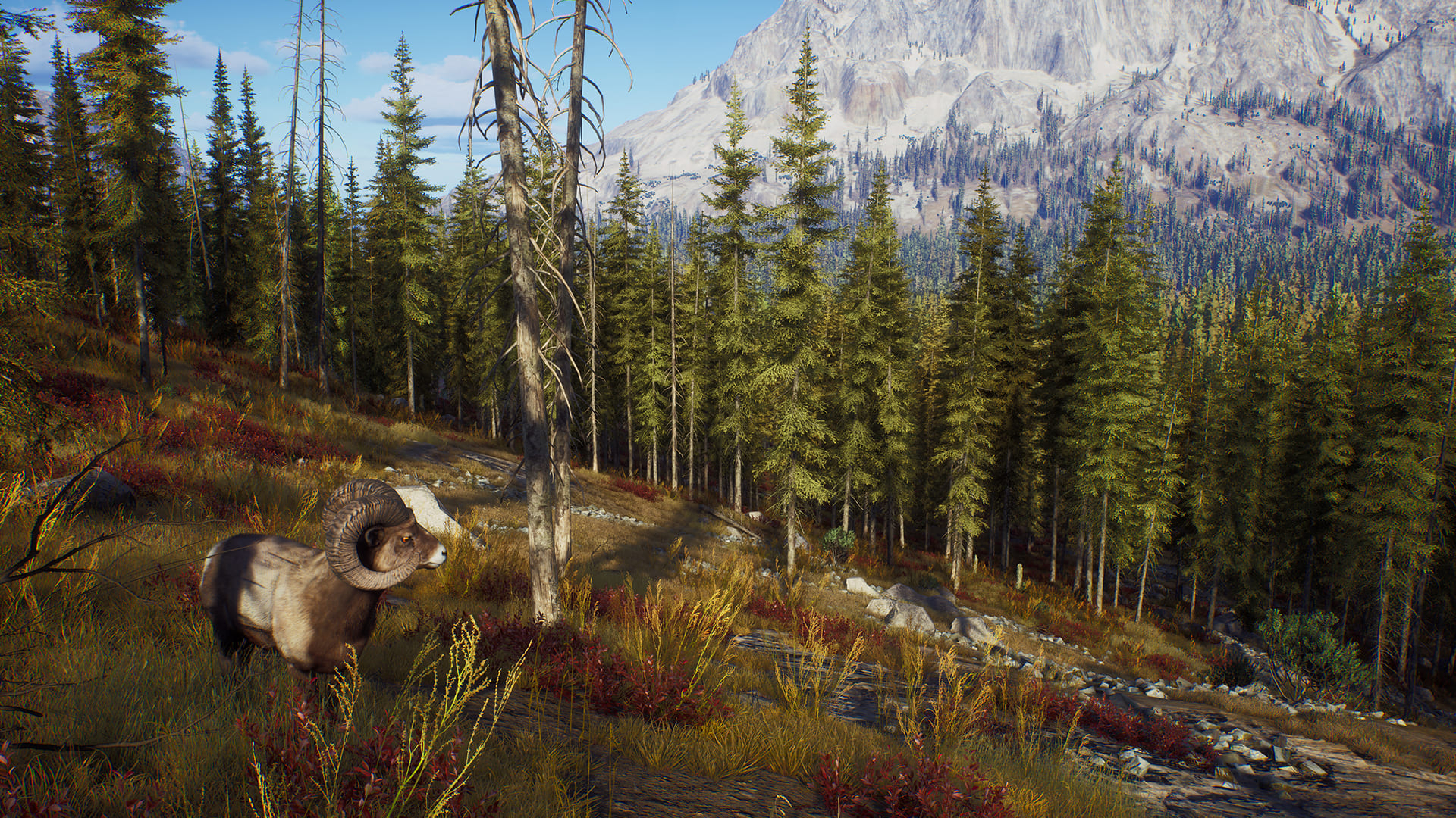 трейнер для the hunter call of the wild no steam фото 69