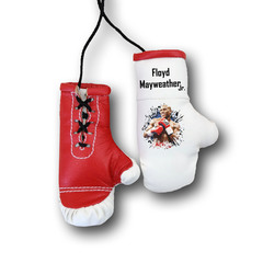 Перчатки боксерские комбинированные "Флойд Майвейзер", белые с красным