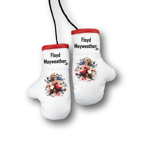 Перчатки боксерские комбинированные "Флойд Майвейзер", белые с красным