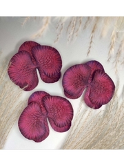 Молд пластиковый Набор Д-12 орхидея 