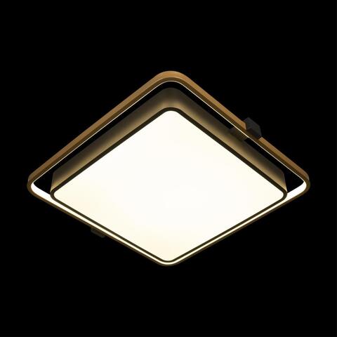 Потолочный светильник Loft It Mike 10172