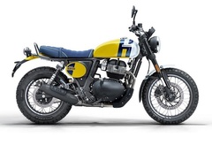 Royal Enfield Bear 650 Wild Honey (Mid)
