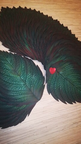 Лист с тонировкой. 30*22. Цвет на выбор заказчика. От 6шт.