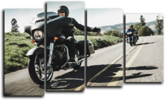 Модульная картина "Harley Davidson Riding"