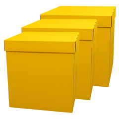 Коробка для воздушных шаров "Сюрприз" Желтый новинка