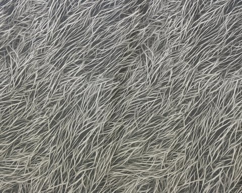 Портьерная ткань сатин-жаккард с 3D эффектом Морские водоросли серый