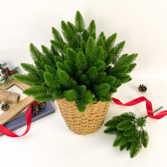 Еловая ветка, 30 см, лапки 7,5 см, 15 лапок на ветке, набор 10 веток