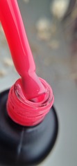 PNB 4 in 1 Liquid Gel Guava Glam 17ml
