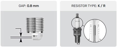 Champion P-RG6HCC PRG6HCC