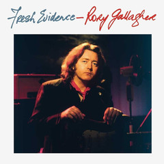 Rory Gallagher / Fresh Evidence (LP)