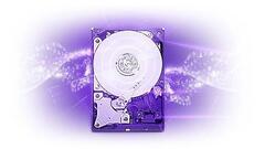 Внутренний HDD 3.5" Western Digital Purple PURX, 4Тб, SATA3, Bulk, Чтение:150мб/с, Запись:150мб/с, 5400об/мин, Буфер:64Мб (WD40PURX)