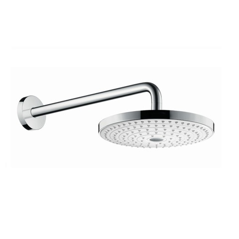 Душ верхний 24,3х24,3 см 2 режима Hansgrohe Raindance Select S 26466400