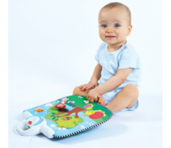 Двусторонний развивающий центр (стандарт)