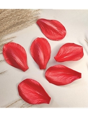 Молд+вайнер набор ВБ/С-52-70-72 для больших пионовидных роз