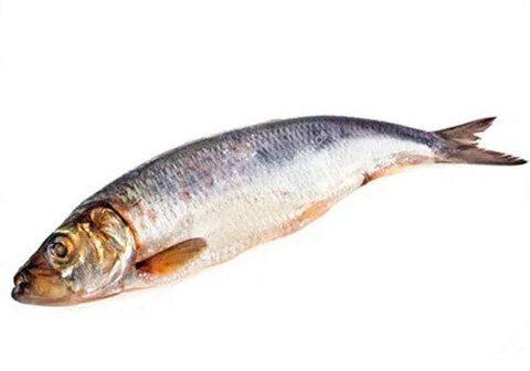 Сельдь Каспийская вяленая~500г