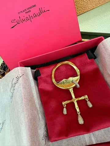 Брошь Schiaparelli