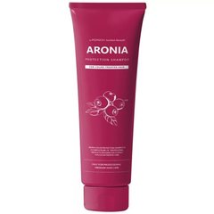 Шампунь для волос АРОНИЯ Pedison Institute-beaut Aronia Color Protection Shampoo, 100 мл