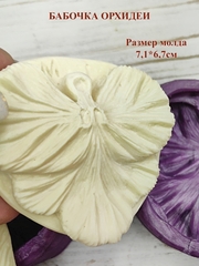 Молды 