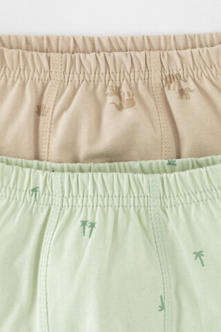 трусы/ уп  для мальчика  К 1930-2уп/морская пена,тем.бежевый,слонята