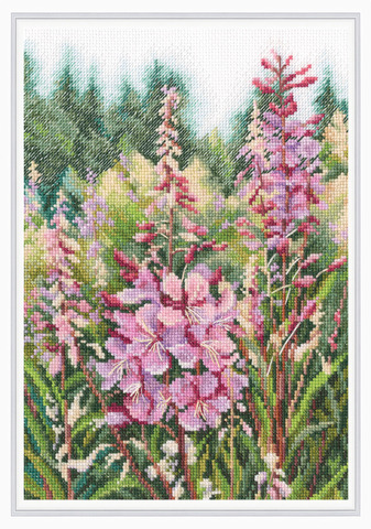 Коллекция:	Цветы | Растения¶Название по-английски:	Raspberry candles of willowherbs¶Название по-русс