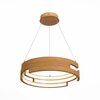 Люстра подвесная ST Luce Genuine SL963.703.01