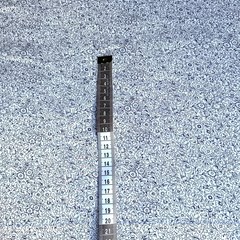 хлопок Liberty белый черный  фото