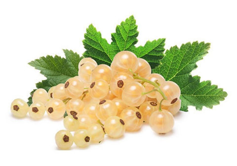 Смородина белая~500г