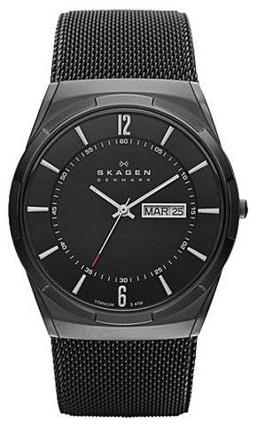 Наручные часы Skagen SKW6006 фото
