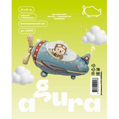 Аг Фигура, Самолет с медведем, 34