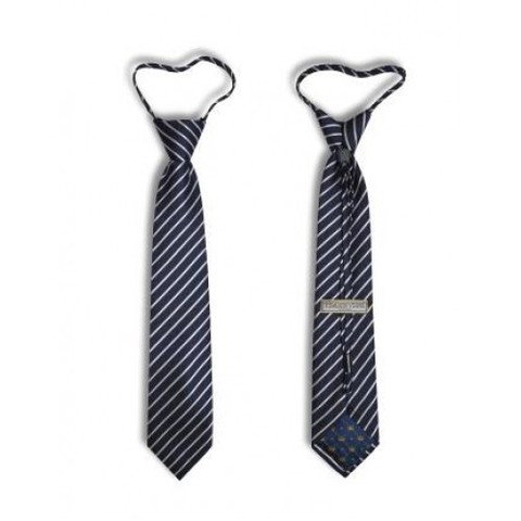 Галстук Tsarevich 104 De Color