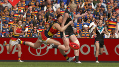 AFL 23 (для ПК, цифровой код доступа)