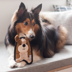 OutwardHound Invinc Mini игрушка для собак Щенок без наполнителя 17 см