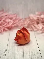 Пищевой молд 