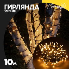 
          гирлянда 10м уличная черный провод (желтый)