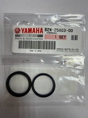 18-3007 Ремкомплект переднего суппорта Yamaha B2W-25803-00