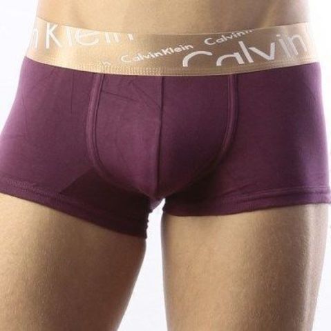 Мужские трусы боксеры темно-фиолетовые с косой резинкой Calvin Klein Bronze Boxer Italics Violet CK04117
