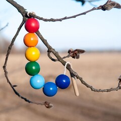 Шнуровка Радуга Леснушки